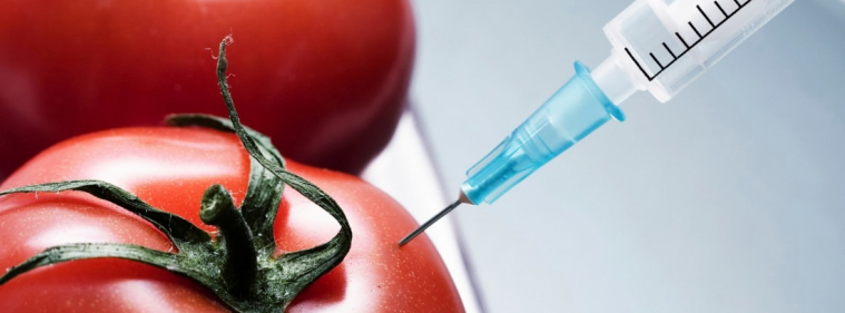 Alimenti contaminati: tipologie di contaminazione, le malattie che causano e gli obblighi di legge